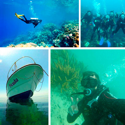 Tours y Tickets Buceo en Veracruz