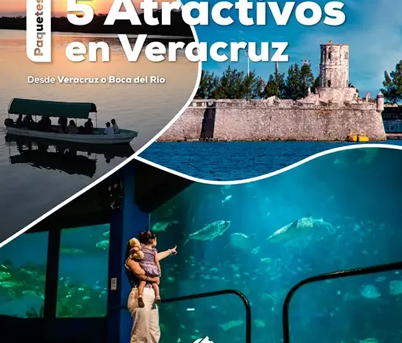 Paquete de 5 Atractivos con Acuario de Veracruz