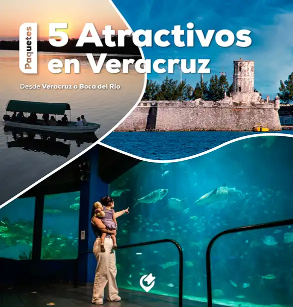 Paquete de 5 Atractivos con Acuario de Veracruz