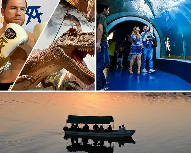 Paquete Top Atractivos Acuario de Veracruz