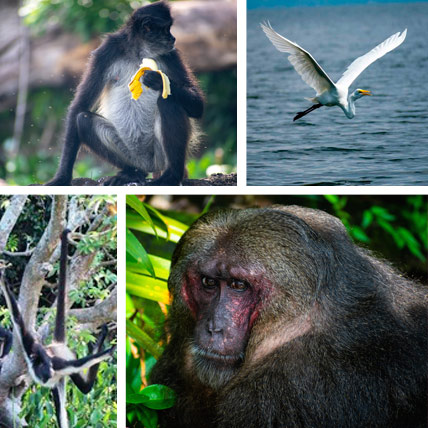 Tours a Catemaco desde Veracruz