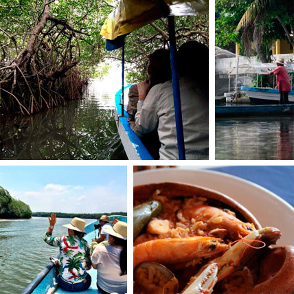 Tours por los Manglares y comida en Restaurante de Mandinga