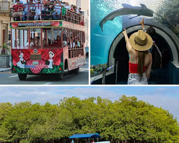 Tour Acuario, Mandinga y Centro en Tranvía