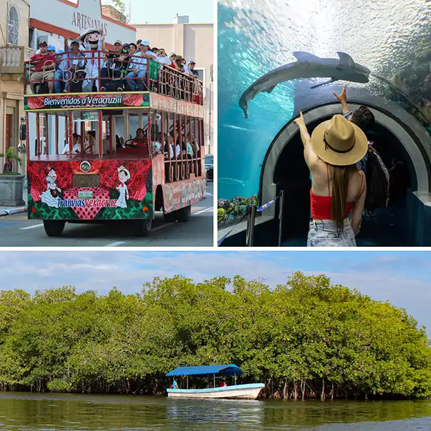 Tour Acuario, Mandinga y Centro en Tranvía