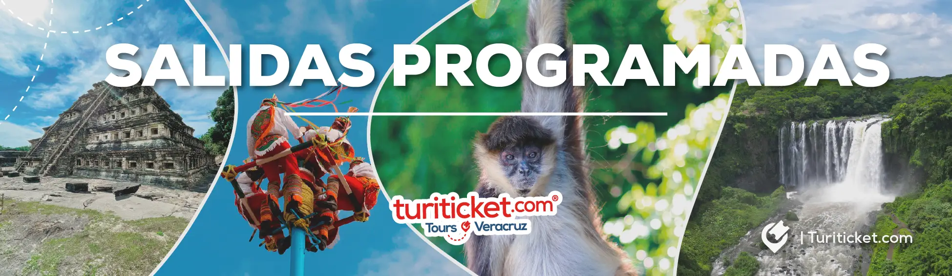 TOURS EN VERACRUZ PARA MAÑANA TOURS EN VERACRUZ PARA MAÑANA