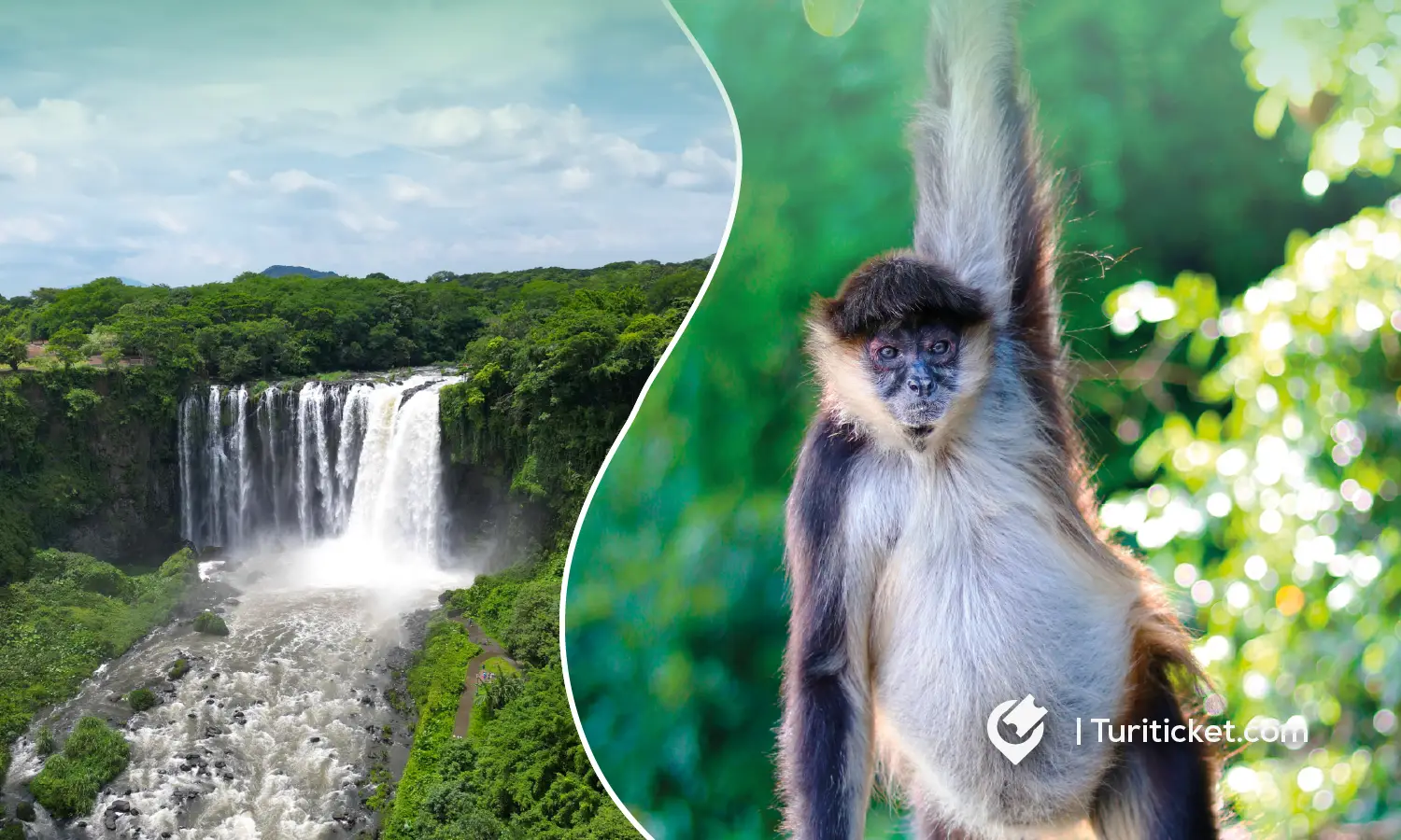 TOUR CATEMACO DESDE VERACRUZ TOUR CATEMACO DESDE VERACRUZ