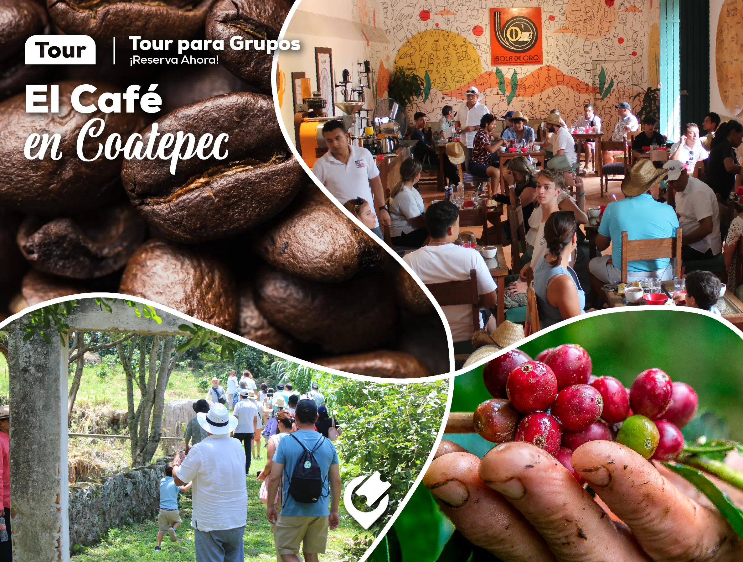 Tour del Café para Grupos