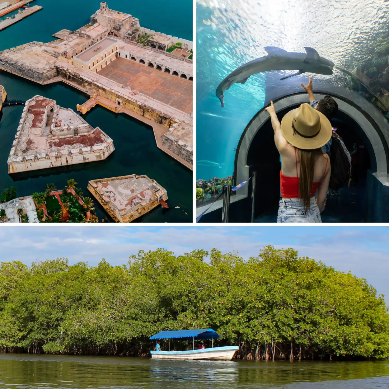 Paq Acuario con Mandinga y Centro desde Veracruz